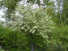 DSCN5829.JPG