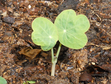 DSCN5879.JPG