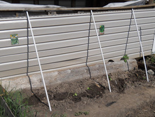 DSCN5947.JPG
