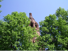 SSA43456.JPG