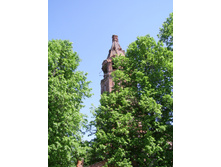 SSA43457.JPG