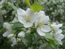 DSCN5832.JPG