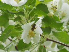 DSCN5839.JPG