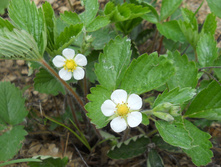 DSCN5841.JPG