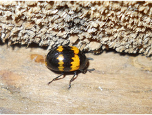 DSCN5954.JPG