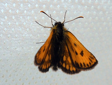 DSCN6036.JPG