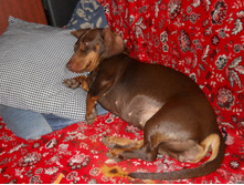 DSCN5931.JPG
