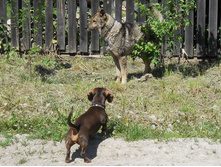 DSCN6020.JPG