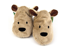 brown_bear_shoe.jpg