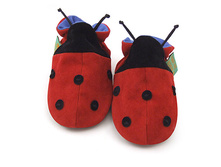 Ladybug-Jan07__57911_zoom.jpg