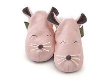 Mouse-Jan07__65951_zoom.jpg