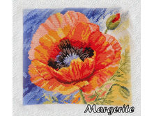 DSCN5571.JPG-2.jpg