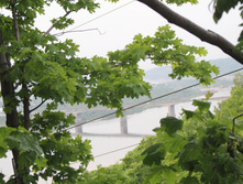 DPP_1688.JPG