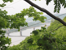 DPP_1689.JPG