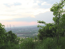 DPP_1690.JPG