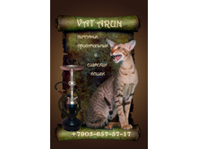 VAT ARUN
