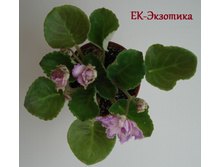 DSC05031.JPG