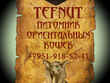 TEFNUT.jpg