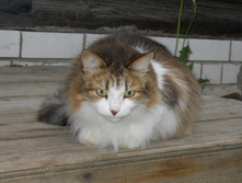 DSCN6108.JPG