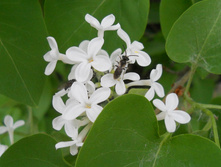 DSCN6111.JPG