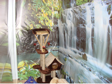DSC01305.JPG