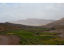 DSC_0096.JPG