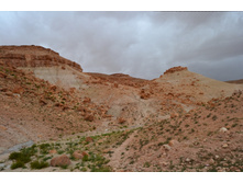 DSC_0145.JPG