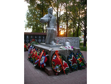 IMGP3103
