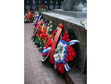 IMGP3104