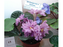 Copy of DSC05057.JPG