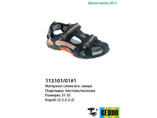 113101-01-1