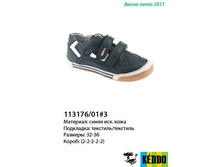 113176-01-3.