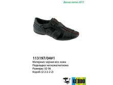 113197-04-1.