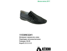 115309-22-1.