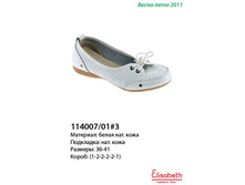 114007-01-3.