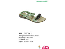 119176-01-1