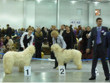 22_98dac3809639.jpg
