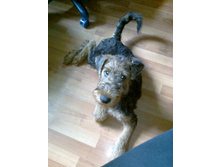 ����2011 023.jpg