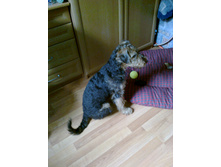 ����2011 025.jpg