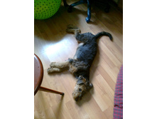 ����2011 022.jpg