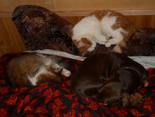 DSCN6176.JPG