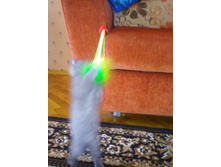 ����0203.jpg