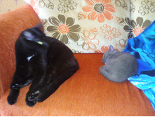 ����0198.jpg