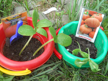 DSCN6215.JPG
