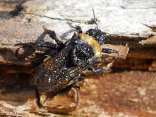 DSCN6223.JPG