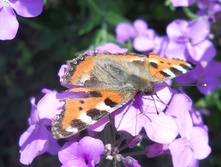 DSCN6230.JPG