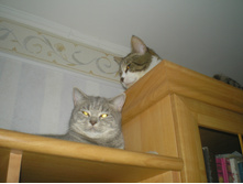 11.06.2011 1:06:57