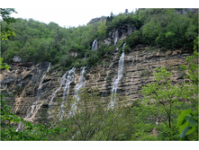 DSC_7975.jpg