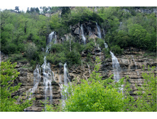 DSC_7979.jpg