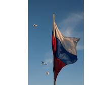 IMG_8505.jpg